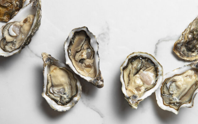 delicious-oysters-ready-eat-still-life (1)